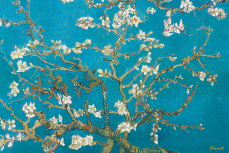 Almond Branches in Bloom, San Remy - Van Gogh Painting On Canvas